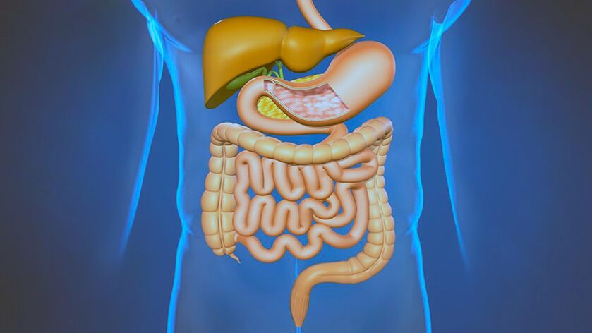 Boli ale sistemului digestiv - cauza durerii sub omoplați